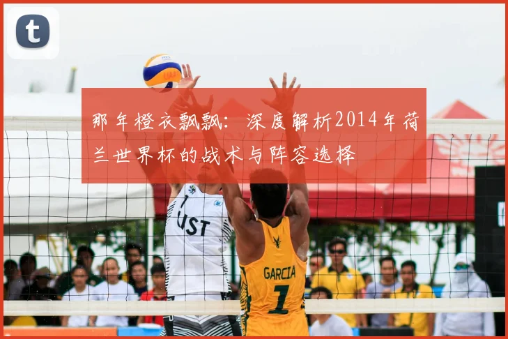 那年橙衣飘飘：深度解析2014年荷兰世界杯的战术与阵容选择