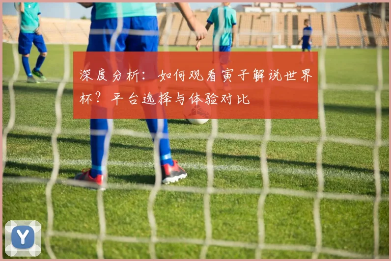 深度分析：如何观看寅子解说世界杯？平台选择与体验对比