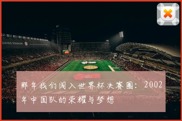 那年我们闯入世界杯决赛圈：2002年中国队的荣耀与梦想