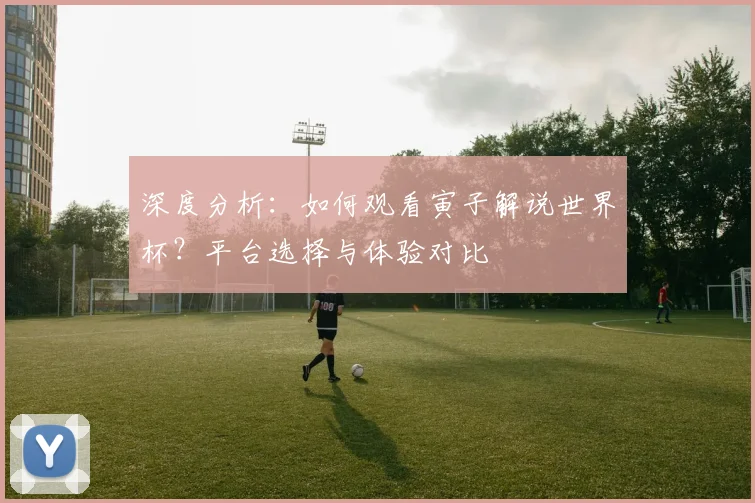 深度分析：如何观看寅子解说世界杯？平台选择与体验对比
