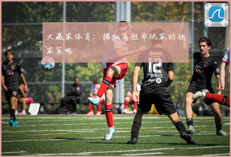 大赢家体育：揭秘高胜率玩家的独家策略
